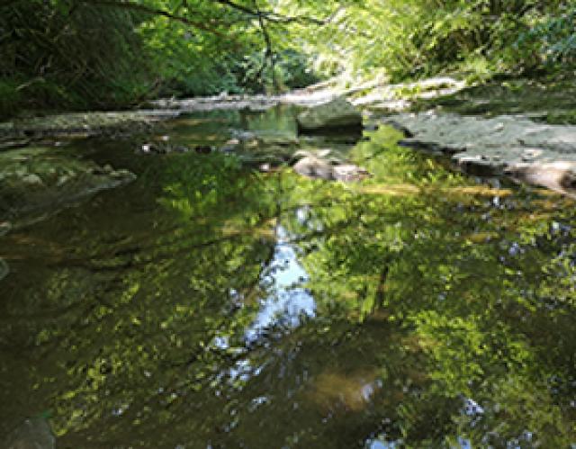 Paysage ardéchois pendant un stage de jeûne